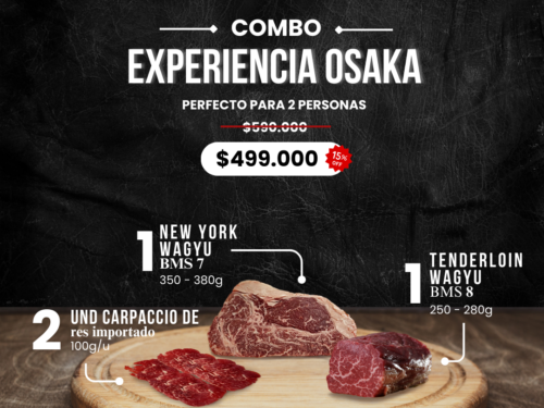 Experiencia Osaka
