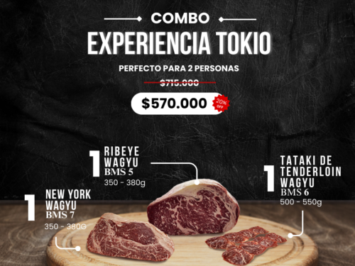 Experiencia Tokio