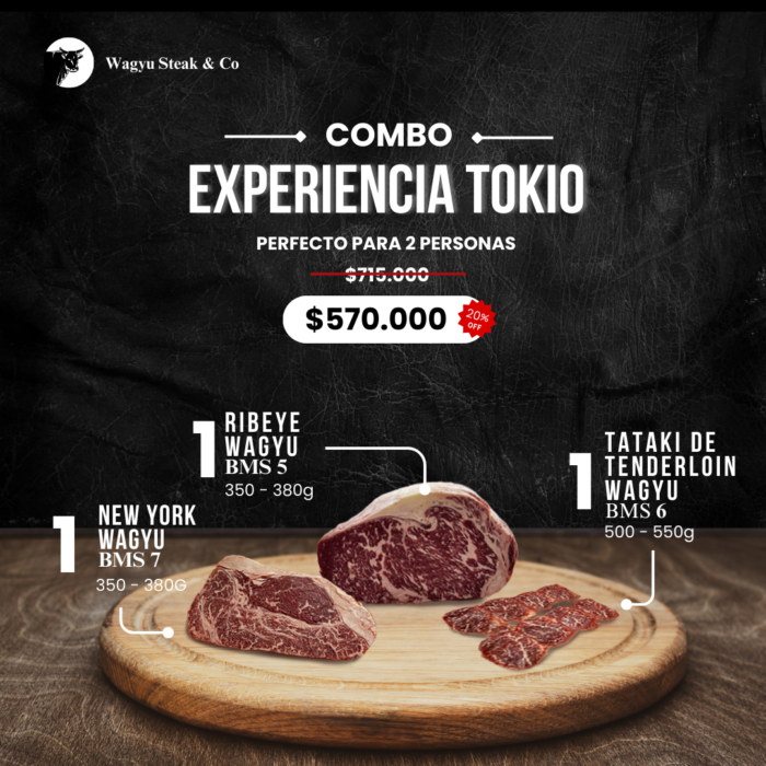 Experiencia Tokio